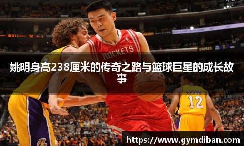姚明身高238厘米的传奇之路与篮球巨星的成长故事
